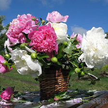 Схема вышивки «№370753»