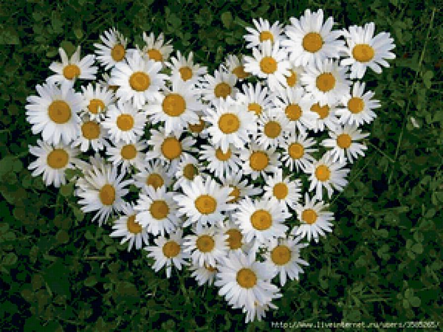 №370755 - предпросмотр