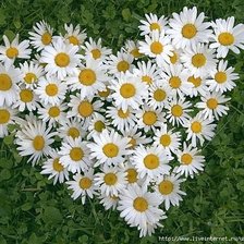 Схема вышивки «№370755»