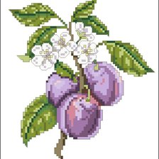 Схема вышивки «сливы»
