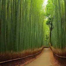 Схема вышивки «Дорога»