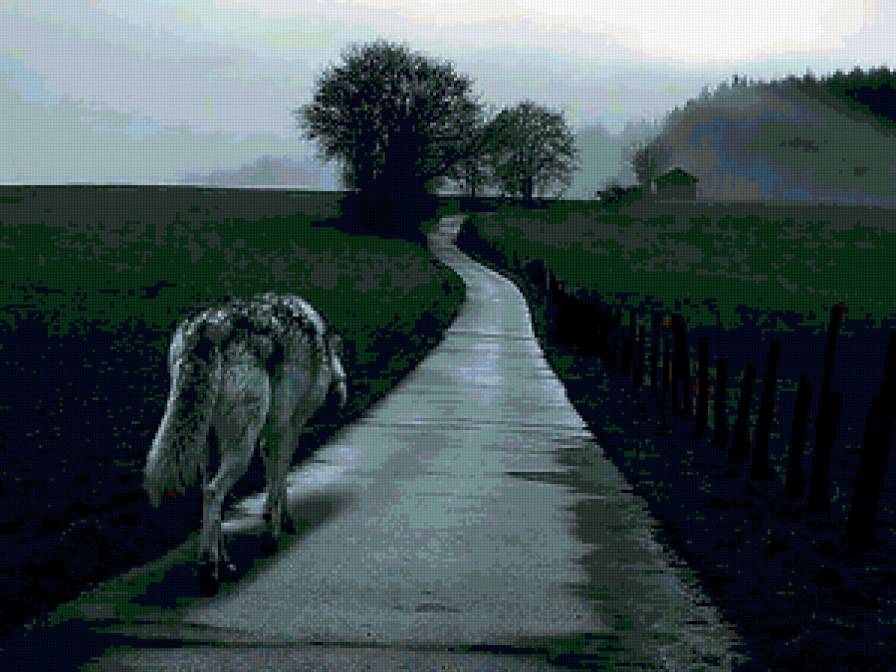 Одинокий волк - волк, одиночество, дорога - предпросмотр