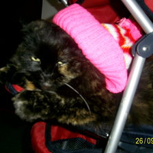 Схема вышивки «кошак»