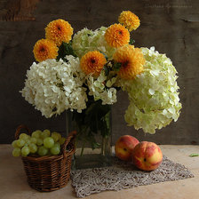 Схема вышивки «№370964»