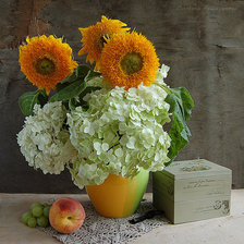 Схема вышивки «№370970»