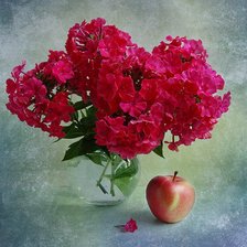 Схема вышивки «№370986»