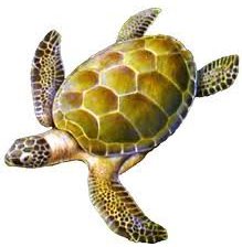 Схема вышивки «черепаха»