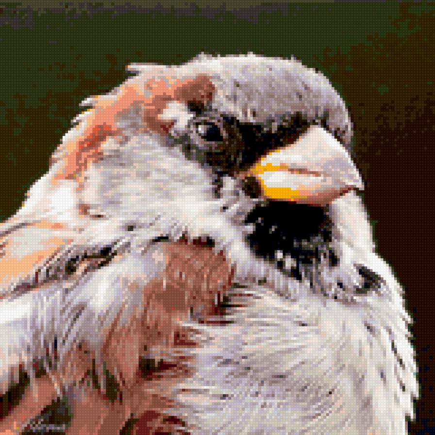 ПтичКо! на подушку - фото, птица, подушка - предпросмотр