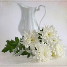 Схема вышивки «№371227»