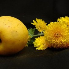 Схема вышивки «№371230»