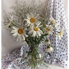 Схема вышивки «№371251»