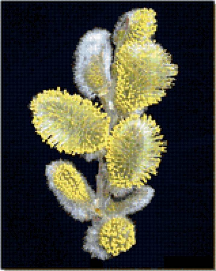 Верба - весна, цветы - предпросмотр