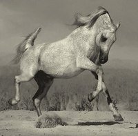 Схема вышивки «№371373»