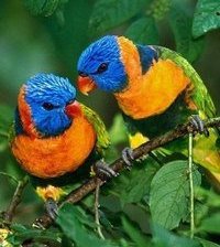 Схема вышивки «№371374»