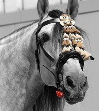 Схема вышивки «№371377»