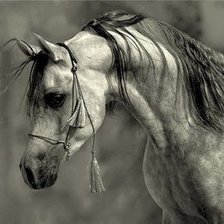 Схема вышивки «№371381»