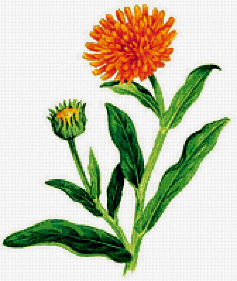 №371530 - предпросмотр