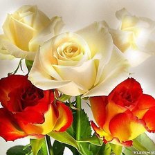 Схема вышивки «№371560»