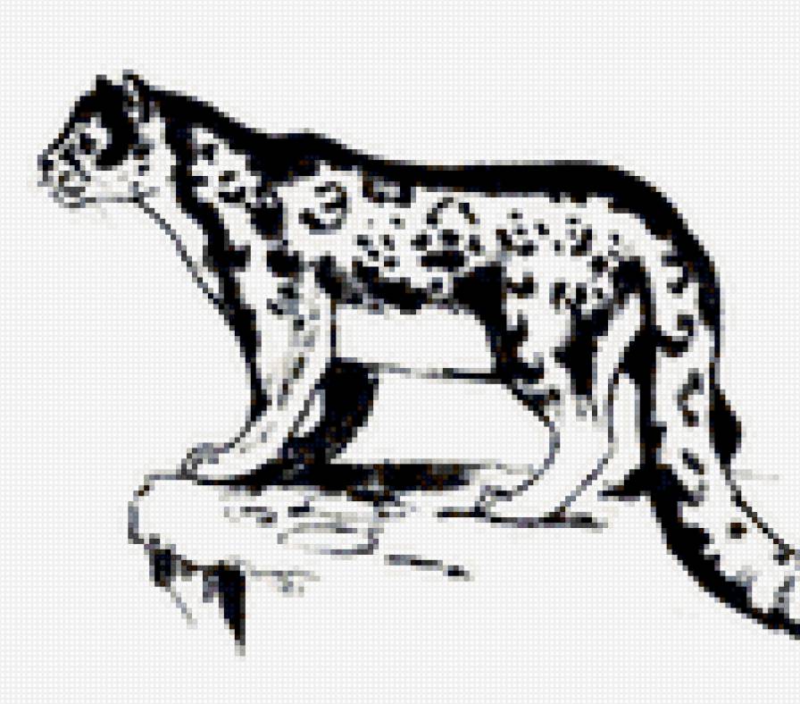 Кошка - монохром, кошачьи - предпросмотр