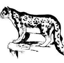 Схема вышивки «Кошка»