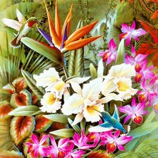 Схема вышивки «калибри»