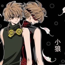 Схема вышивки «Шаоран»