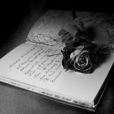 Схема вышивки «Роза»