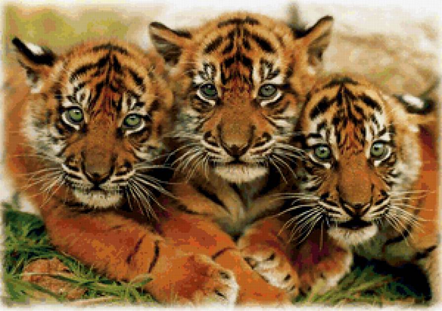 картина - животные - предпросмотр