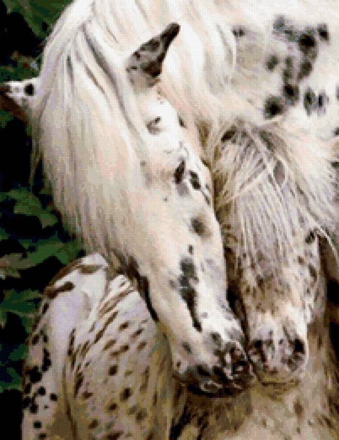 Любовь матери - лошади - предпросмотр