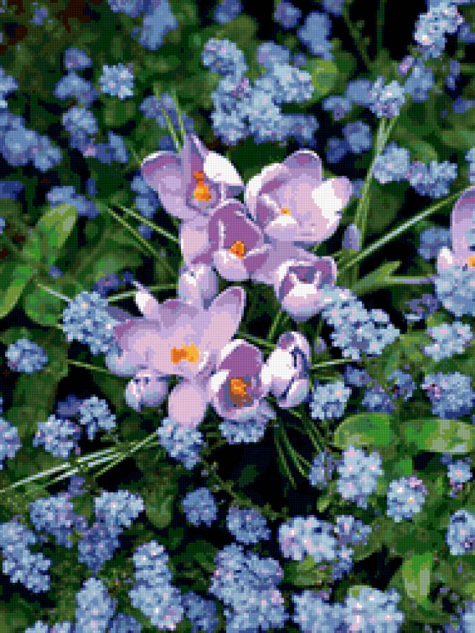 №371711 - цветы - предпросмотр