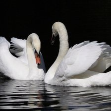Схема вышивки «Лебеди»