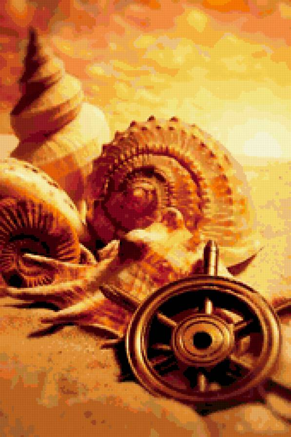 ракушки - предпросмотр