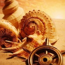 Схема вышивки «ракушки»