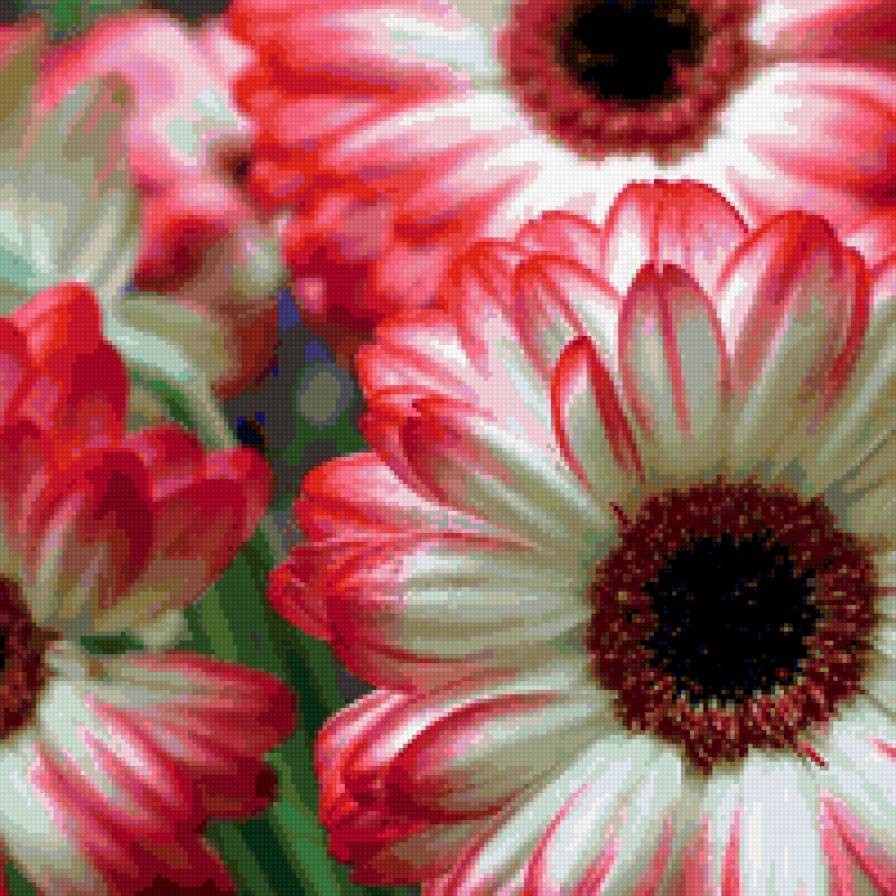 весенние цветы - цветы - предпросмотр