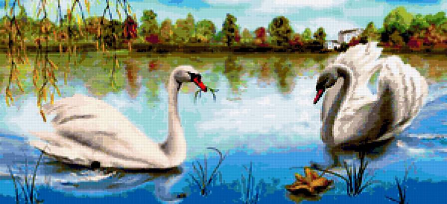 лебеди на озере - предпросмотр