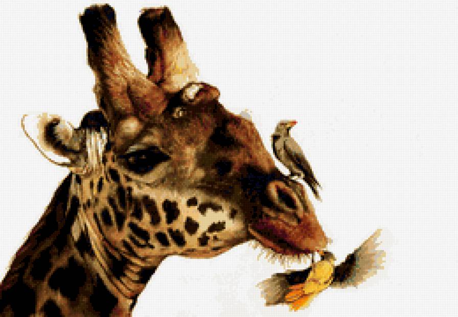 жираф - предпросмотр