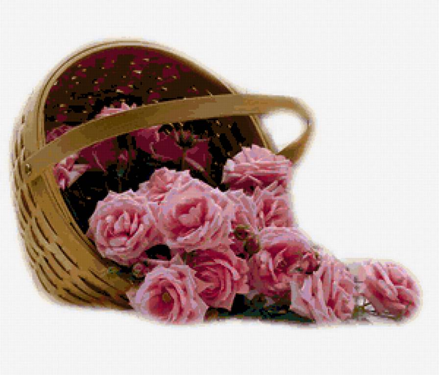 Розы - цветы, розы, корзина - предпросмотр