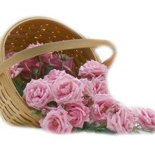 Схема вышивки «Розы»