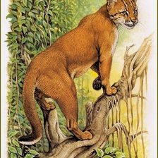 Схема вышивки «дикие животные»