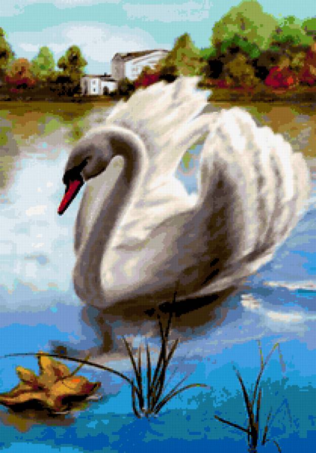 белый лебедь - предпросмотр