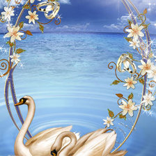 пара лебедей