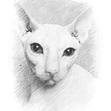 Схема вышивки «ь»