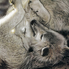 Схема вышивки «волки»