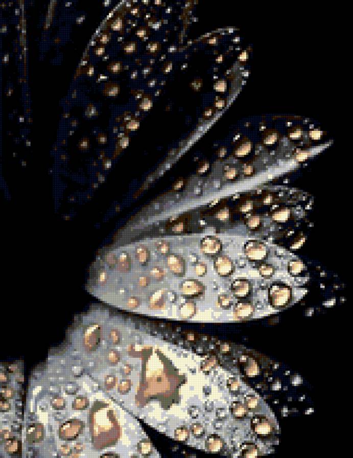 №372240 - цветы - предпросмотр