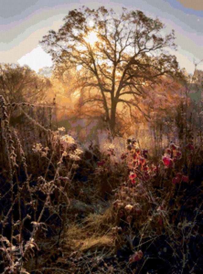 Утро - природа, утро, поле, лес - предпросмотр