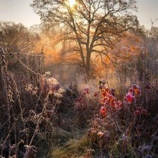 Схема вышивки «Утро»