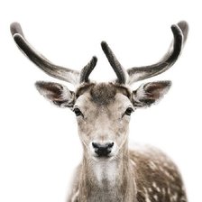 Схема вышивки «№372310»