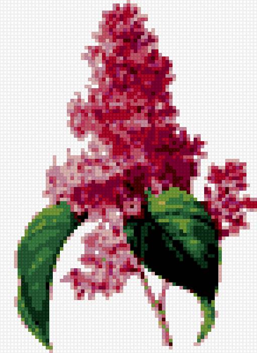 яркая сирень - предпросмотр