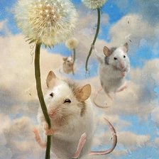 Схема вышивки «№372499»