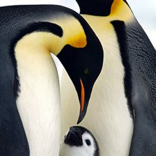 Схема вышивки «семьяяяя»